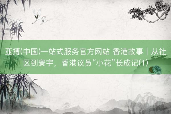亚搏(中国)一站式服务官方网站 香港故事｜从社区到寰宇，香港议员“小花”长成记(1)