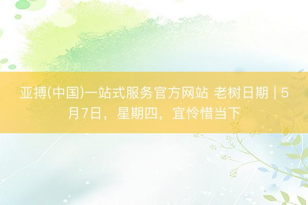 亚搏(中国)一站式服务官方网站 老树日期 | 5月7日，星期四，宜怜惜当下