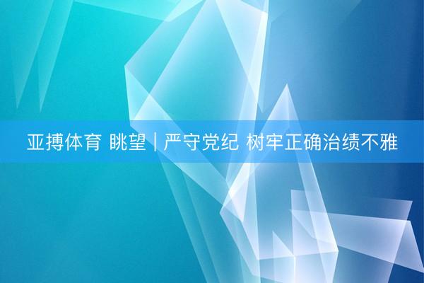 亚搏体育 眺望 | 严守党纪 树牢正确治绩不雅