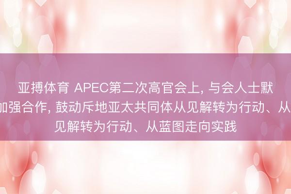 亚搏体育 APEC第二次高官会上， 与会人士默示: 愿与中国加强合作， 鼓动斥地亚太共同体从见解转为行动、从蓝图走向实践