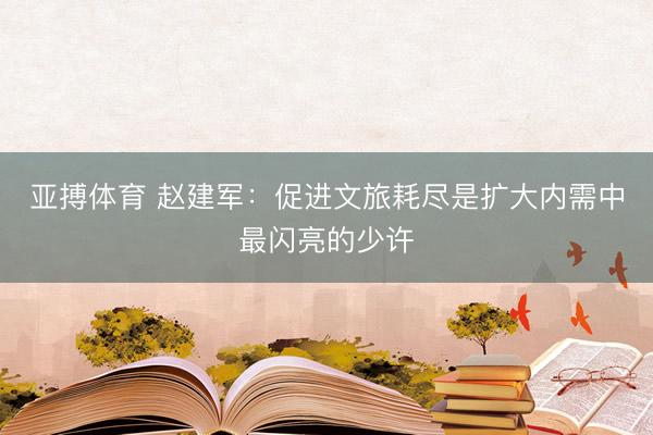 亚搏体育 赵建军：促进文旅耗尽是扩大内需中最闪亮的少许