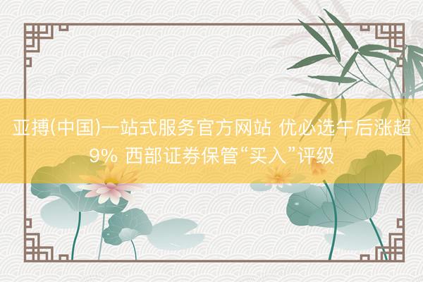 亚搏(中国)一站式服务官方网站 优必选午后涨超9% 西部证券保管“买入”评级