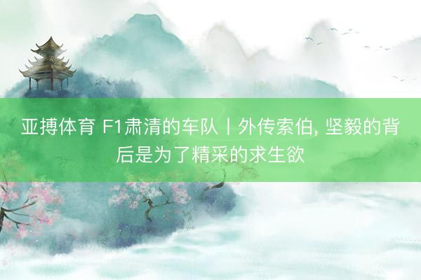 亚搏体育 F1肃清的车队丨外传索伯， 坚毅的背后是为了精采的求生欲