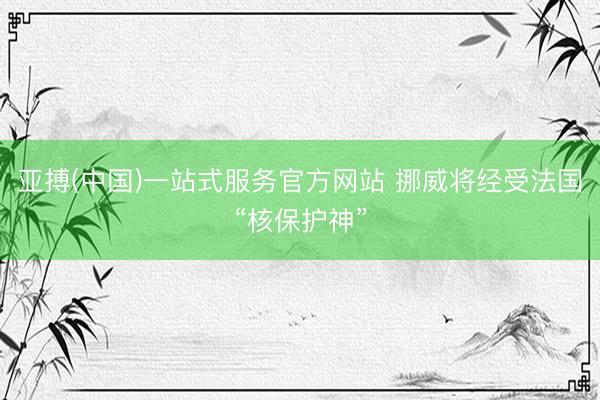 亚搏(中国)一站式服务官方网站 挪威将经受法国“核保护神”