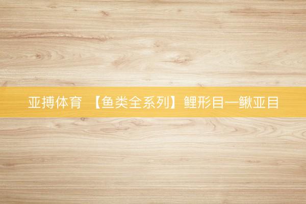 亚搏体育 【鱼类全系列】鲤形目—鳅亚目
