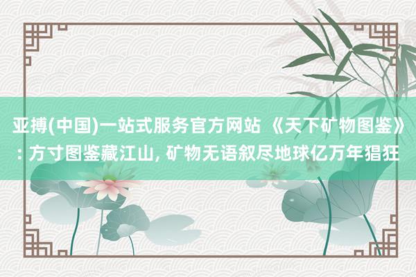 亚搏(中国)一站式服务官方网站 《天下矿物图鉴》: 方寸图鉴藏江山， 矿物无语叙尽地球亿万年猖狂