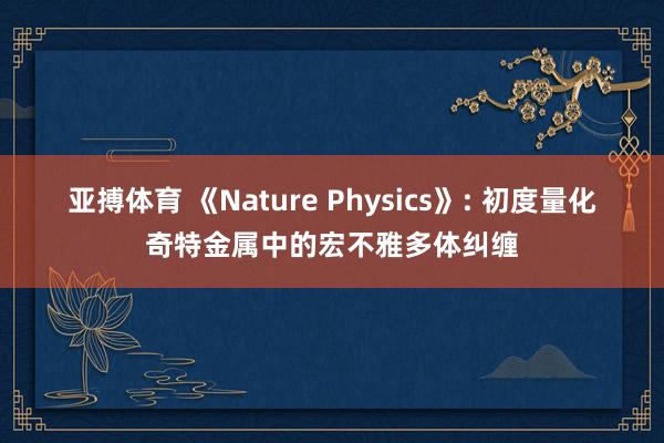 亚搏体育 《Nature Physics》: 初度量化奇特金属中的宏不雅多体纠缠