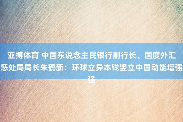 亚搏体育 中国东说念主民银行副行长、国度外汇惩处局局长朱鹤新：环球立异本钱竖立中国动能增强